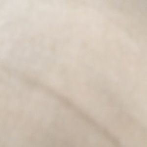 Meet your Posher, Luis